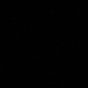 Meet your Posher, Ryley